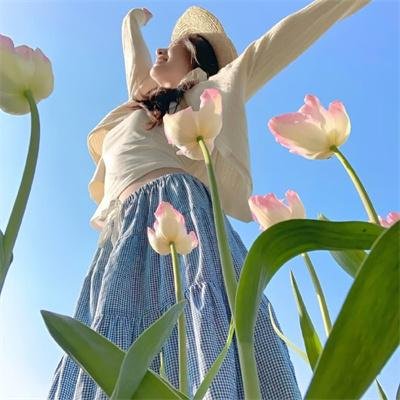 盲拳怪招粤语