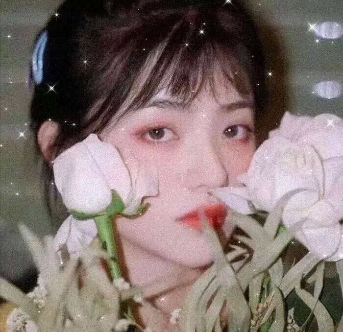 灰姑娘企鹅的温柔故事